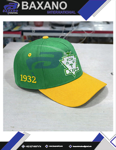 Casquette de baseball en satin brodée 3D Chi Eta Phi Sorority CEP, élégante, avec lettres grecques, réglable, respirante, casquette CEP - Product Image 6