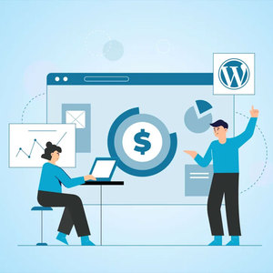 Sistema Operativo para Desarrolladores de WordPress - Versión Internet en Stock - Product Image 3
