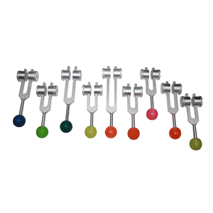 Kit d'instruments de diagnostic ORL : Diapason 256 Hz, Marteau de réflexe du genou, Goniomètre, Mètre ruban, Kit médical en acier inoxydable - Product Image 5