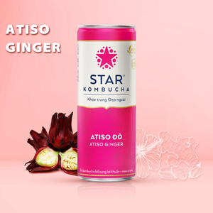 Bebida de Kombucha de Alcachofa y Jengibre al por Mayor, 250ml, Marca Star Kombucha, Bebida de Té Fermentado, Precio Competitivo, Exportación - Product Image 2