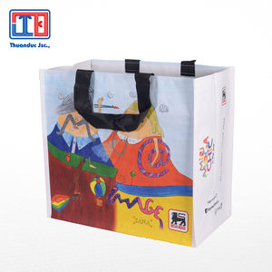 Bolsa de PP hecha en Vietnam |   la mejor opción - Product Image 2