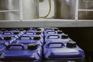 Extracto de Jengibre (GN-0201) Van Aroma - Product Image 6