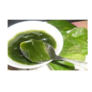 Gelée de feuilles de lotus bleu bio sans sucre de haute qualité, ingrédient détoxifiant naturel et durable à base de plantes 24 - Product Image 1