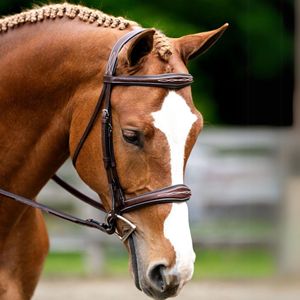 Bridon d'équitation en cuir anglais avec frontal en cristal, rênes assorties, muselet rembourré, sangles réglables, équipement équestre haut de gamme - Product Image 3