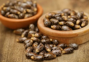 Semillas de Ricino Marrón Naturales - Product Image 3