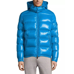Veste d'hiver décontractée pour homme, bleue, à capuche, en duvet, coupe-vent, coupe régulière, fermeture éclair, couleur unie, épaisse et isolée - Product Image 1