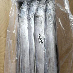 ปลาสัตว์น้ำแช่แข็งคุณภาพพรีเมียม ขายส่งจำนวนมาก พร้อมจัดส่ง เกรดอาหาร สำหรับส่งออก - Product Image 2