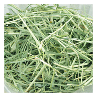 En stock, foin de Timothy de qualité supérieure pour chevaux et bovins, en balles, destiné à l'exportation