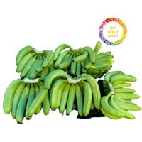 VOORDELIGE AANBIEDING Hoge Kwaliteit Verse Cavendish Plantain Bananen Uit Vietnam Tropisch Fruit Op Voorraad Groothandel Concurrerende Prijs