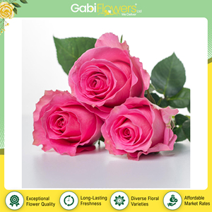 Flores Frescas de Primera Calidad para Decoración Festiva y de Fiestas - Suministro de Origen Keniano, Rosas de Agua de Calidad Premium al por Mayor - Product Image 3