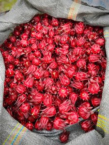 Hibiscus Roselle séché OEM: Calice rouge pour une utilisation à base de plantes, séché au soleil, norme d'exportation du Vietnam/ Lima - Product Image 4