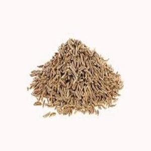 Semillas de Comino Silvestre Frescas a Granel, Extracto Herbal, Empaque en Tambor, Especias Aromáticas Orgánicas al por Mayor para Cocinar - Product Image 6