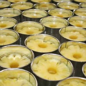 Ananas frais en tranches, écoresponsable, le plus vendu, en conserve, en morceaux, pour l'exportation - Product Image 2