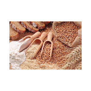 Harina de Maíz de Primera Calidad al por Mayor, Venta a Granel, Grado Alimenticio, Lista para Enviar, Suministro para Exportación - Product Image 1