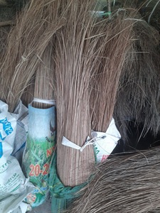 Bâton de balai en fibre de coco Nipah d'origine usine, matériau en fibre de coco, vente en gros, exportation du Vietnam, bâton de coco à bon prix - Product Image 6