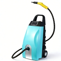 Nettoyeur à vapeur à ozone pour le detailing automobile, machine de nettoyage à vapeur haute pression pour la désinfection en profondeur des sièges de voiture