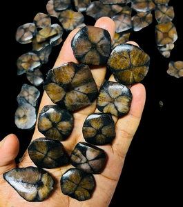 Vente en gros Cabochon tranche polie charistolite de qualité supérieure Bijoux en pierres précieuses dans toutes les tailles et formes mixtes Pierres précieuses naturelles - Product Image 2