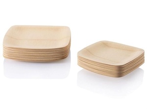 Assiettes carrées robustes de 7 pouces, écologiques, compostables, biodégradables, durables, de qualité supérieure, pour collations, amuse-gueules, nourriture de rue - Product Image 1