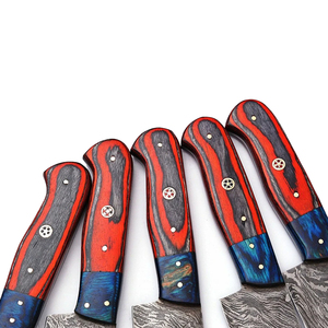 Ensemble de couteaux de chef en acier Damas avec étui en cuir, collection de couteaux de cuisine haut de gamme pour les passionnés de cuisine et l'utilisation à la maison - Product Image 2