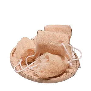 Esponjas naturales de lufa, cepillo de baño/depurador/limpieza con precio barato de ECO2GO VIETNAM