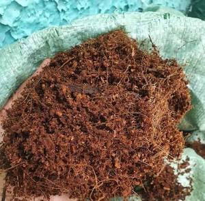 Brique de tourbe de coco premium extensible en fibres de coco pour l'agriculture et l'horticulture - Product Image 5