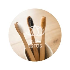 Cepillo de Dientes Manual de Alta Calidad con Mango Cómodo, Cerdas de Nylon Suaves, Tamaño Regular para el Cuidado Personal Diario - Product Image 1