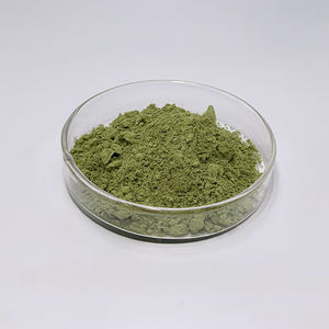 Poudre de Moringa Oleifera de qualité supérieure, extrait végétal pour la nutrition bien-être, compléments alimentaires et produits de santé botaniques - Product Image 2