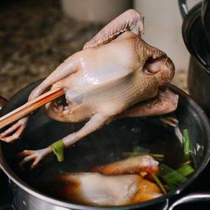 Pigeons congelés de qualité export abordables, viande de pigeon fraîche disponible dans le monde entier - Product Image 5