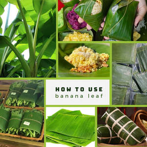 Feuilles de bananier 100% naturelles de haute qualité, 1 kg, provenant du Vietnam, pour l'emballage alimentaire et la cuisine, produit agricole d'exportation - Product Image 4