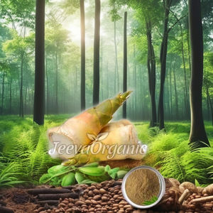 Polvo de extracto de brotes de bambú orgánico Extracto de planta Premium para la salud y el bienestar - Product Image 3