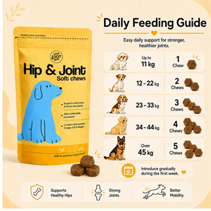 OEM ODM Golosinas Blandas para Cadera y Articulaciones para Perros y Gatos Mayores, Glucosamina, Condroitina, MSM, Soporte para la Movilidad, Salud Articular, Suplemento para Mascotas - Product Image 5