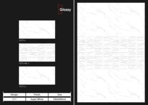 Carreaux de porcelaine à finition brillante architecturale 300x600 mm, conçus pour créer des espaces modernes et propres avec des performances fiables - Product Image 2