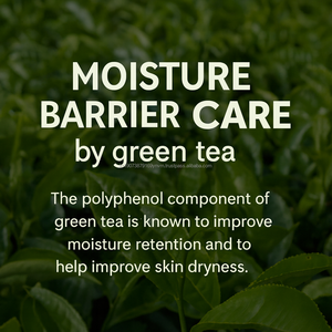 Crema Idratante Vegana K-Beauty al Tè Verde con Peptidi, Olio di Baobab e Squalano, Texture Lattiginosa per una Pelle Radiosa OEM - Product Image 3