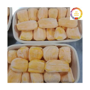 Frozen Jackfruit Vietnam Factory | IQF Yellow Sweet Seedless | Bulk Wholesale Competitive Price - Product Image 2