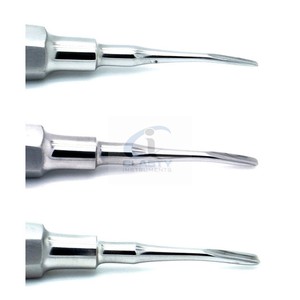 Elevador de Raíces Dentales de Acero Inoxidable, Instrumento Manual de Cirugía Oral, Elevador de Raíces Apicales, Herramienta Quirúrgica Dental de Precisión - Product Image 3
