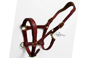 Harnais de Selle Anglaise en Cuir Véritable Premium avec Rembourrage Doux, Réglable et Durable pour l'Entraînement au Dressage et l'Utilisation Quotidienne - Product Image 5