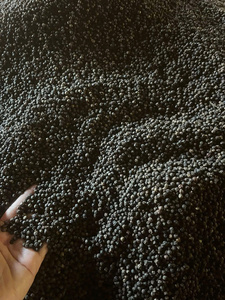 Pimienta Negra Cruda Seca y Limpiada 500 G/L 550 G/L Grano Entero Vietnamita Sabor Picante Natural Condimento Alimentario Industrial - Product Image 3