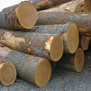 Proveedor Mayorista de Madera de Okoume para Puertas, Paneles de Carpintería y Mercados de Exportación - Product Image 1