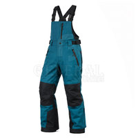 Pantalon de ski pour homme, imperméable, respirant, léger, isolé, salopette de ski, sports d'hiver en plein air, chaud, bretelles réglables, personnalisable