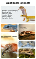 Terrarium Professionnel Moderne pour Serpents en Métal et Plastique avec Ventilation Scientifique et Porte Haute Transparence pour une Boîte à Reptiles Optimale