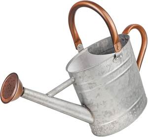 Arrosoir en métal de qualité professionnelle pour le jardinage avec bec de précision et poignée ergonomique confortable - Product Image 1