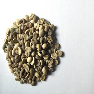 Nouvelle Saison Grains de Café Arabica Torréfiés Indiens Grade A, Sachet de 1kg pour Torréfacteurs et Importateurs à Usage Commercial - Product Image 5