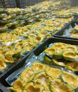 Aguacate Congelado Premium Ideal para Guacamole y Procesamiento de Alimentos Vietnam Tropical Superfood 100% Natural - Product Image 2