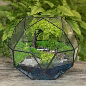 Premium Glass Terrarium Botanical <b>Display</b> <b>Case</b> Suitable For Minimal Modern Interior Design And Clean Table <b>Display</b> From India - Product Image 5