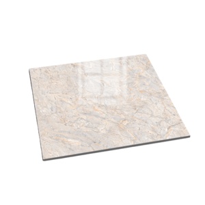 Carrelage en porcelaine de sol noir et beige marron, 600x600mm, carreaux antidérapants pour couloir, hôtels, livraison depuis l'inde - Product Image 1