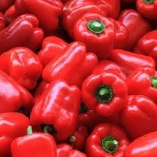 Pimiento Rojo Fresco de Calidad de Exportación con Textura Crujiente y Excelente Sabor para Aplicaciones Culinarias - Product Image 4