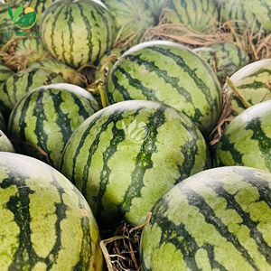 CUBOS DE SANDÍA CONGELADOS – FRUTA CONGELADA NATURAL - Product Image 3