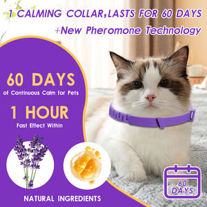 <span class=keywords><strong>Collar</strong></span> Calmante para Gatos OEM, Reduce la Ansiedad, Ajustable, con Feromonas y Aceites Esenciales, Protección de 4 Meses - Product Image 6