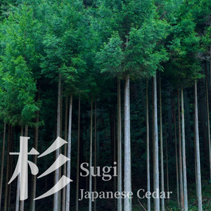 Huile essentielle de Sugi (cèdre japonais) 100% pure, fabriquée au Japon par Wacca - Distillée à la vapeur, aromathérapie, senteur boisée, terreuse, fraîche - Product Image 3