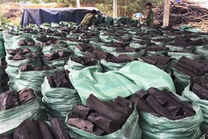 Palo de carbón negro Binchotan ecológico de alta calidad, exportación directa del fabricante para café, barbacoa, bulto de madera dura de Vietnam - Product Image 3